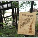 충주호 종댕이 이미지