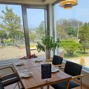 포크기타 | 대전 유성구 맛집 브런치 카페 포크앤피클스 파스타