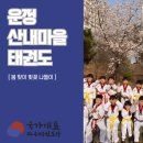 국가대표파주태권도장 이미지