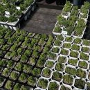 명원농장 이미지