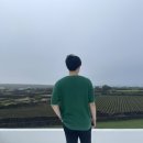 스테이인우도