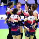 현대인삼 이미지