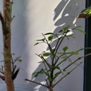 장정경로당 이미지