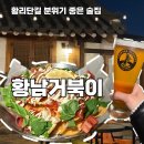 도솔팬션 | 경주 한옥펍 황남거북이, 황리단길 분위기 좋은 감성 술집