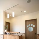 파스텔동물병원 이미지