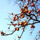 내일한방병원 이미지