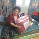 산하이불 이미지