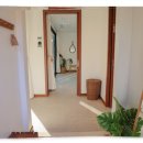 광이멀 103 이미지