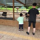 윤찬농장 이미지