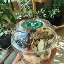 연서데어리 | #38[연서데어리] 새롬동수제그릭요거트 맛집!