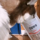 무감치킨 이미지