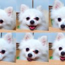 빙그레 모텔 이미지