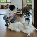 순애커피