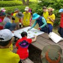 금강자연휴양림 이미지