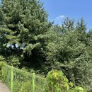 영태1리 마을회관 이미지