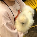제주도 바나나 농장 체험 스위트 몽키 추천 후기