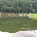 한일낚시터 이미지