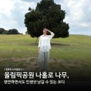 남길 | 올림픽공원 나홀로 나무, 편안하면서도 인생샷 남길 수 있는 코디 후기