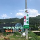 바람개비 딸기학교 이미지