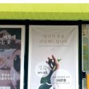 신동-107 이미지