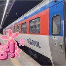 디지털 문해교육-오전 이미지