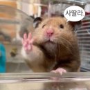 현장밥집 네이버블로그