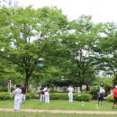 탑 태권도 전문도장 이미지