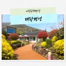 태란 펜션 | 여수독채펜션 바다와 정원을 품은 힐링 백야도숙소 태란펜션
