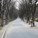 생활체육(의암)공원 이미지