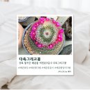 다육그리고꽃