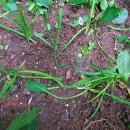 뽑기좋은날 이미지