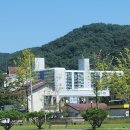 배연주공인중개사사무소 | [전세] 홍천 삼호2차 로열층 | 욕실·싱크대 올수리, 차로 5분 읍내 생활권! 최상급 전세매물