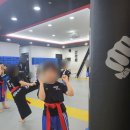 상승합기도 | 타격기수련 신화합기도에서 배워 키성장에 도움된 후기ㅎㅎ