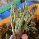 김성섭 농장 이미지