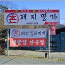 촌돼지명가