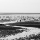 용유해변 이미지