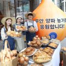 무안인삼