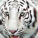 소리난청보청기센터 이미지