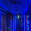 써니코인노래연습장 이미지