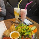 더베스트 힐링타운 | [광화문역 맛집] 두르가 광화문역점 디너세트 후기