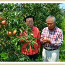 황토축산2 이미지