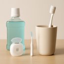 서울든든한치과의원 | 기본부터 실천해서 든든한 서울참조은치과의원 방배역치과 구강 관리 가이드