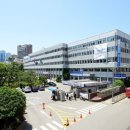 해운대로 이미지