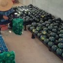 윤희농장 이미지