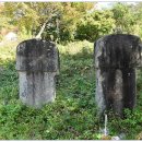 충주청과 이미지