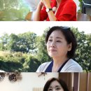 홍여진 카카오 검색결과