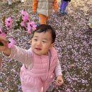 숲향기어린이집 | 🌷 낯설었던 3월을 지나, 함께하는 오늘 ::: by. 대전청사다솜어린이집