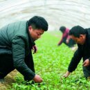 돈구농장 이미지