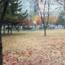 작전야외공연장 야외공연장 이미지