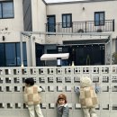 보문에코풀빌라 이미지